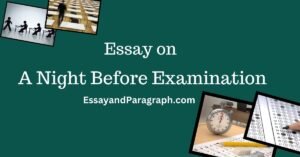 Essay on A Night Before Examination