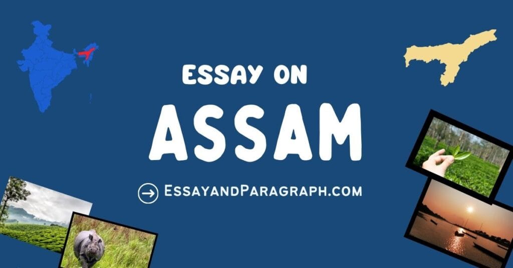 Essay on Anti Ragging (300 to 500 words) - EssayandParagraph.com