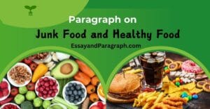 Paragraph on Junk Food and Healthy Food