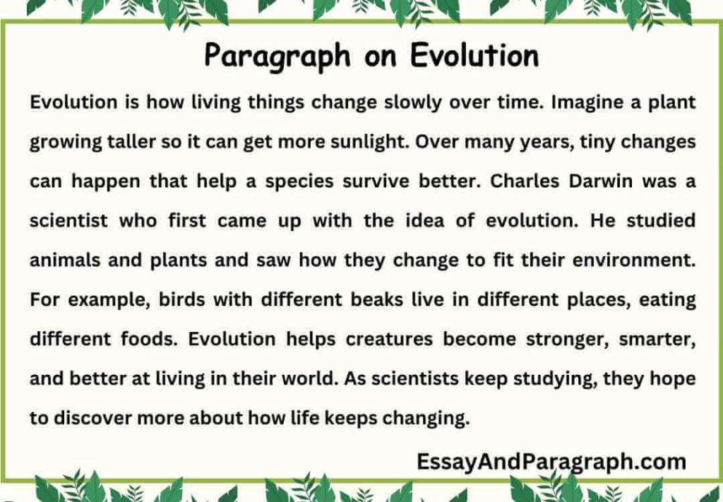 Paragraph on Evolution