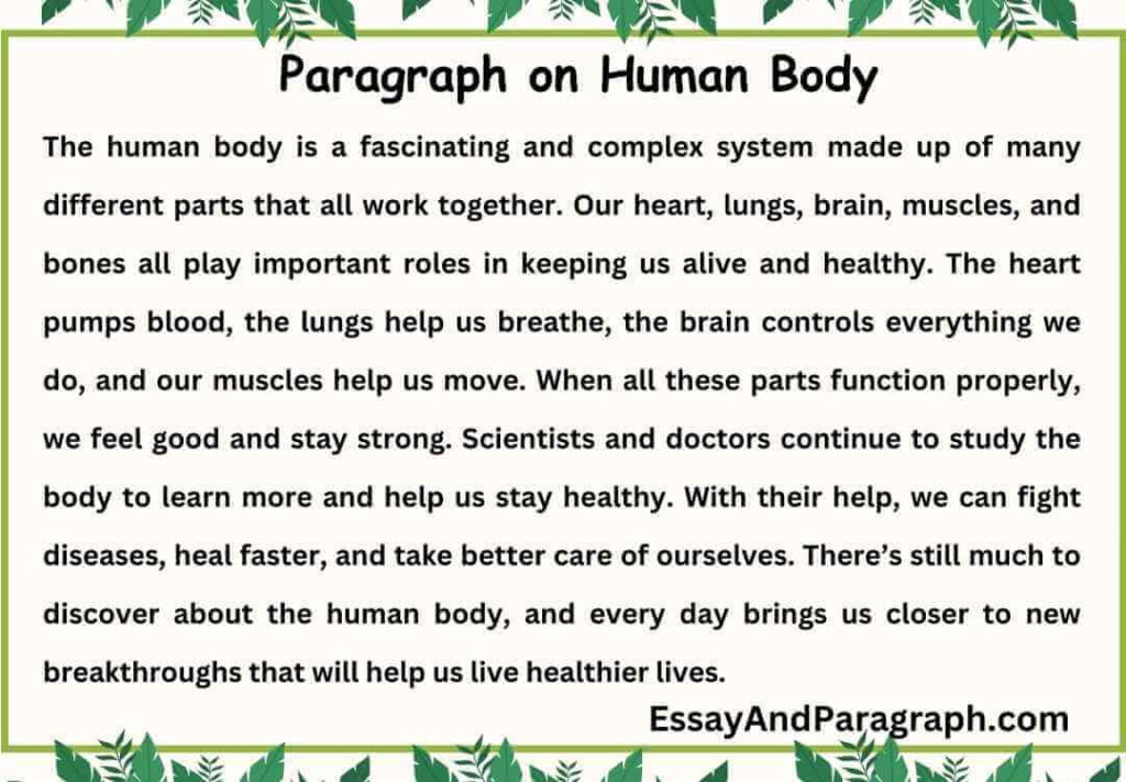 Paragraph on Human Body