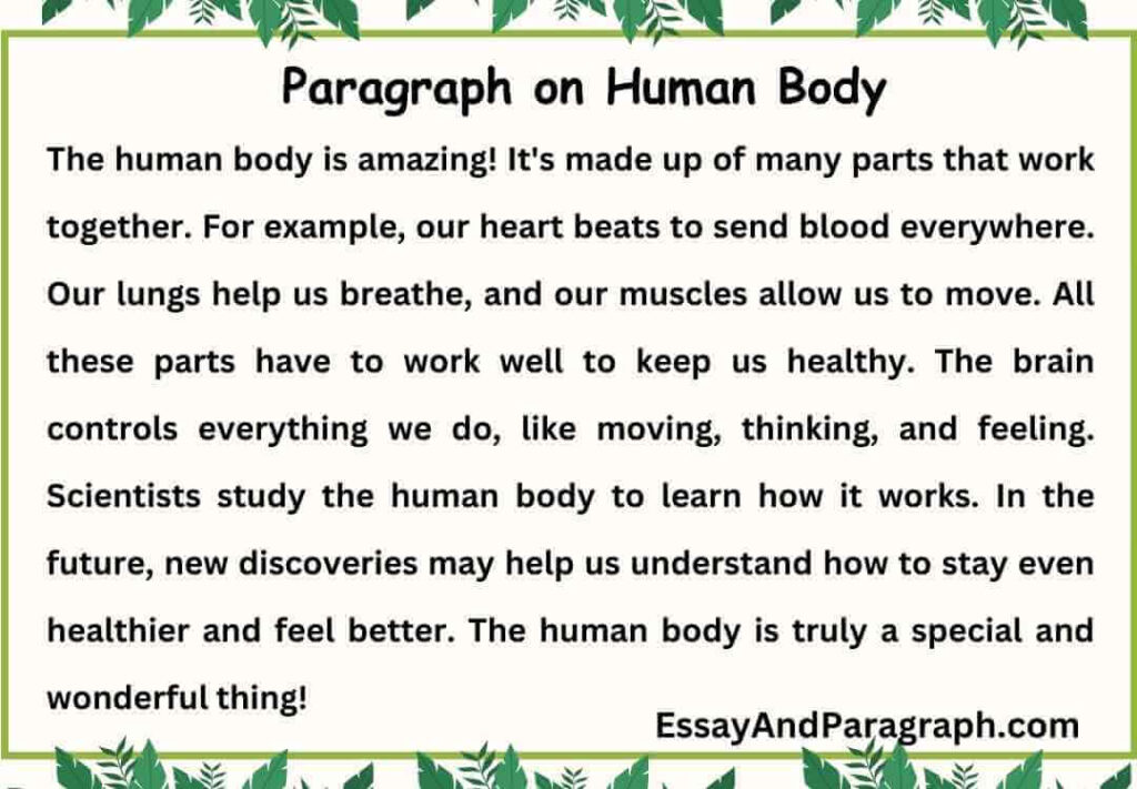 Paragraph on Human Body