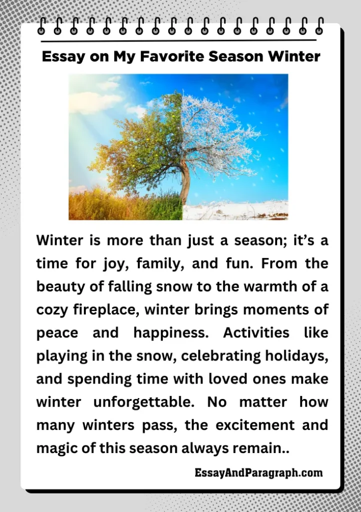 Essay on My Favorite Season Winter