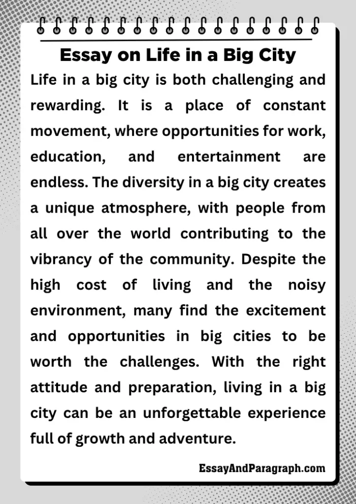 Essay on Life in a Big City