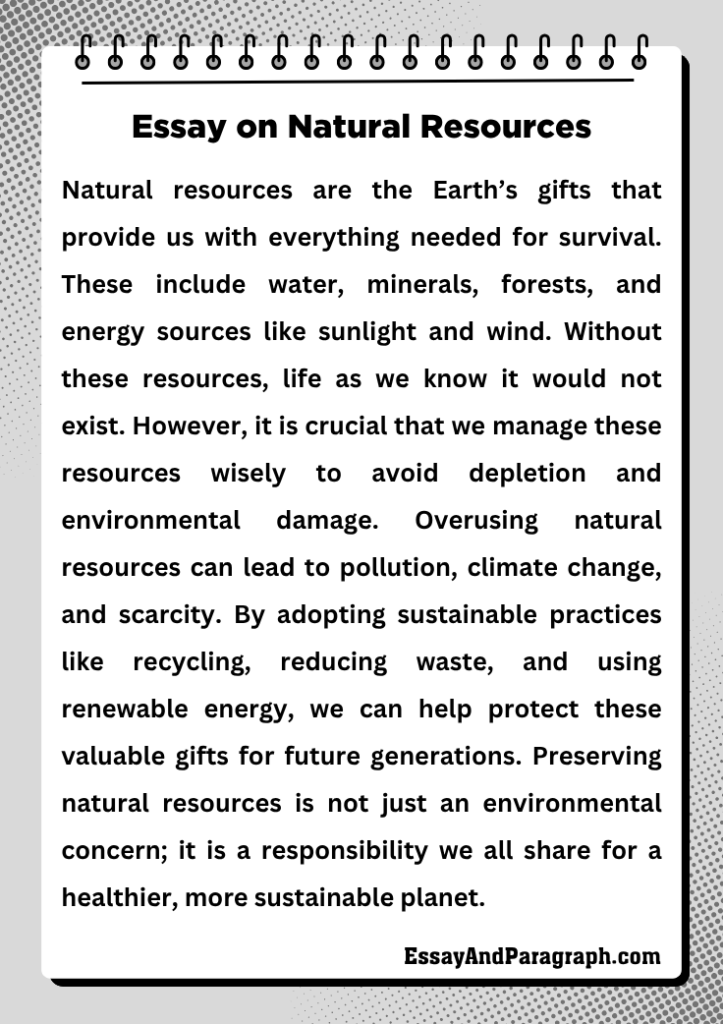 Essay on Natural Resources