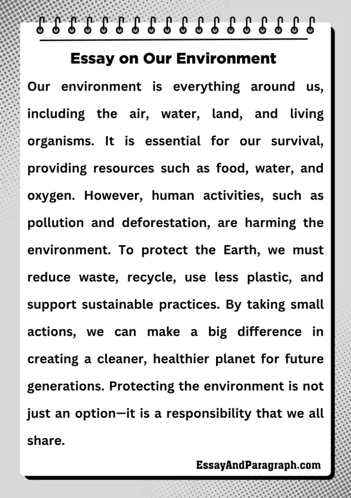 Essay on Our Environment 
