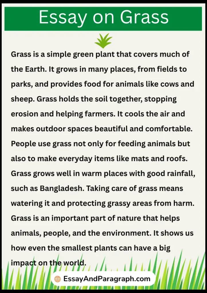 Essay on Grass