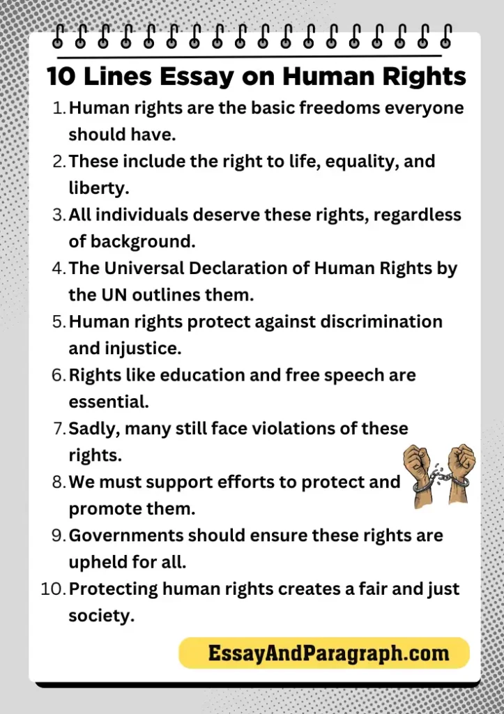 Essay on Human Rights