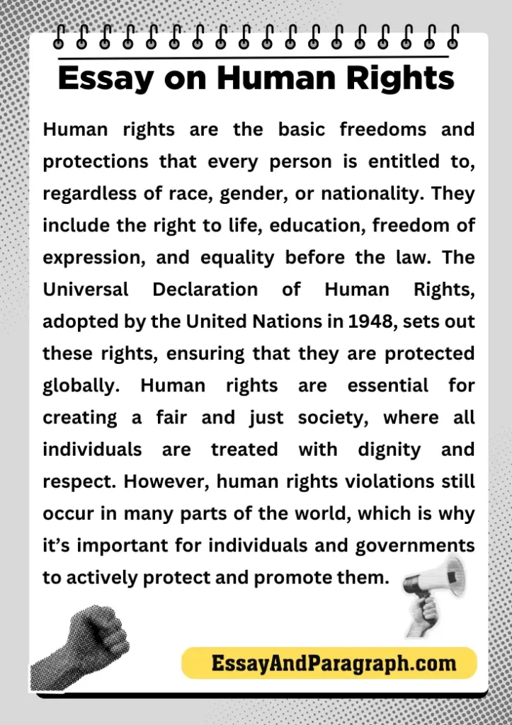 Essay on Human Rights