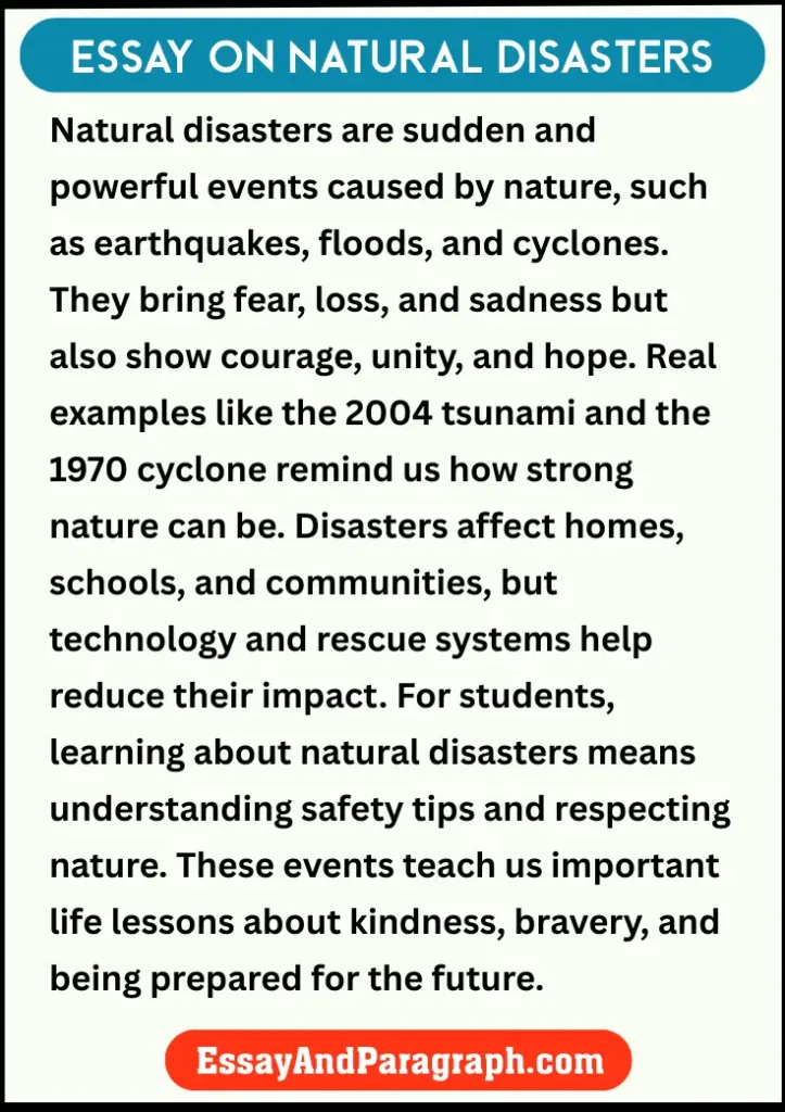 Essay on Natural Disasters