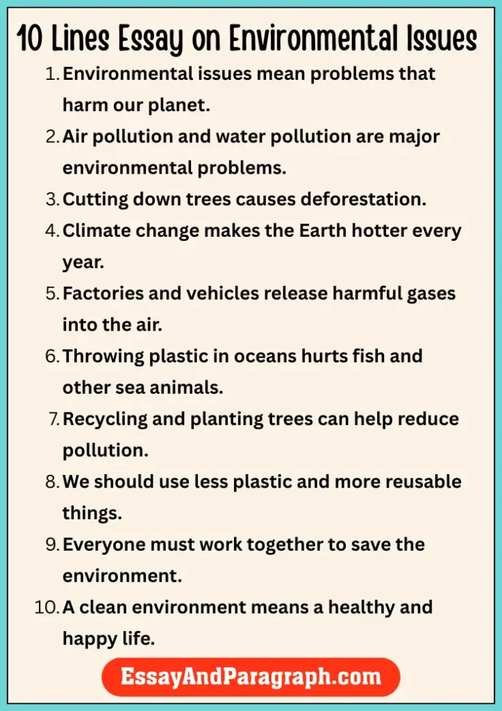 Essay on Environmental Issues 